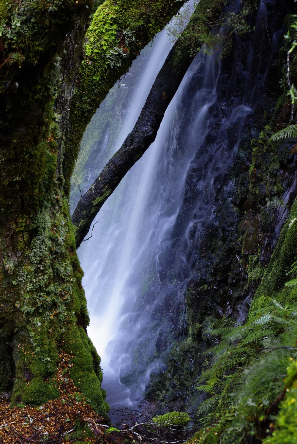 O Fil de l'Eau